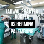 Jadwal Praktek Dokter RS Hermina Palembang